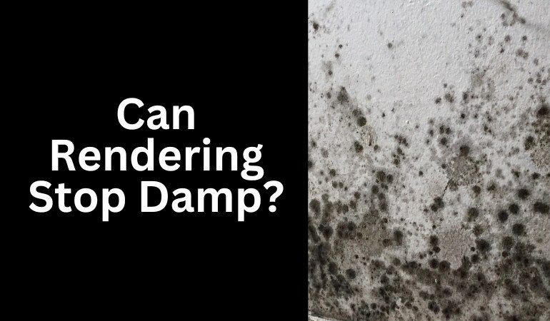 Can Rendering Stop Damp Protect Your Home with the Right Render